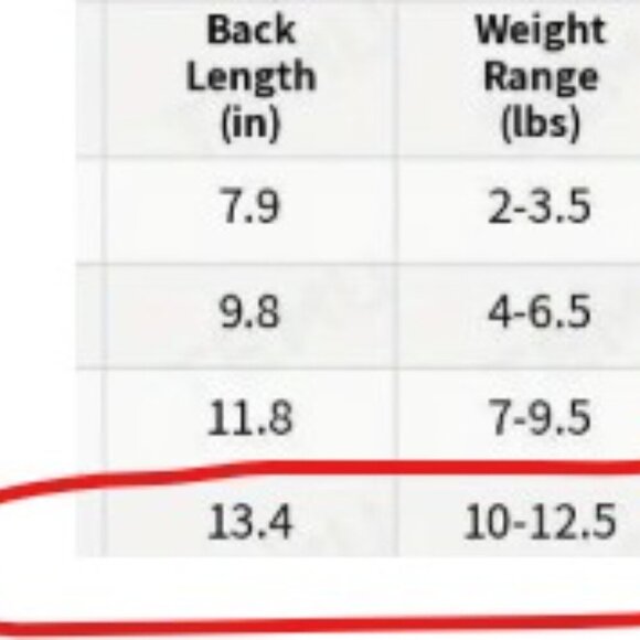 "Sweetheart" Dog Hoodie - Cozy Pet Sweatshirt with Heart & FloraL Design Size S - Picture 9 of 10